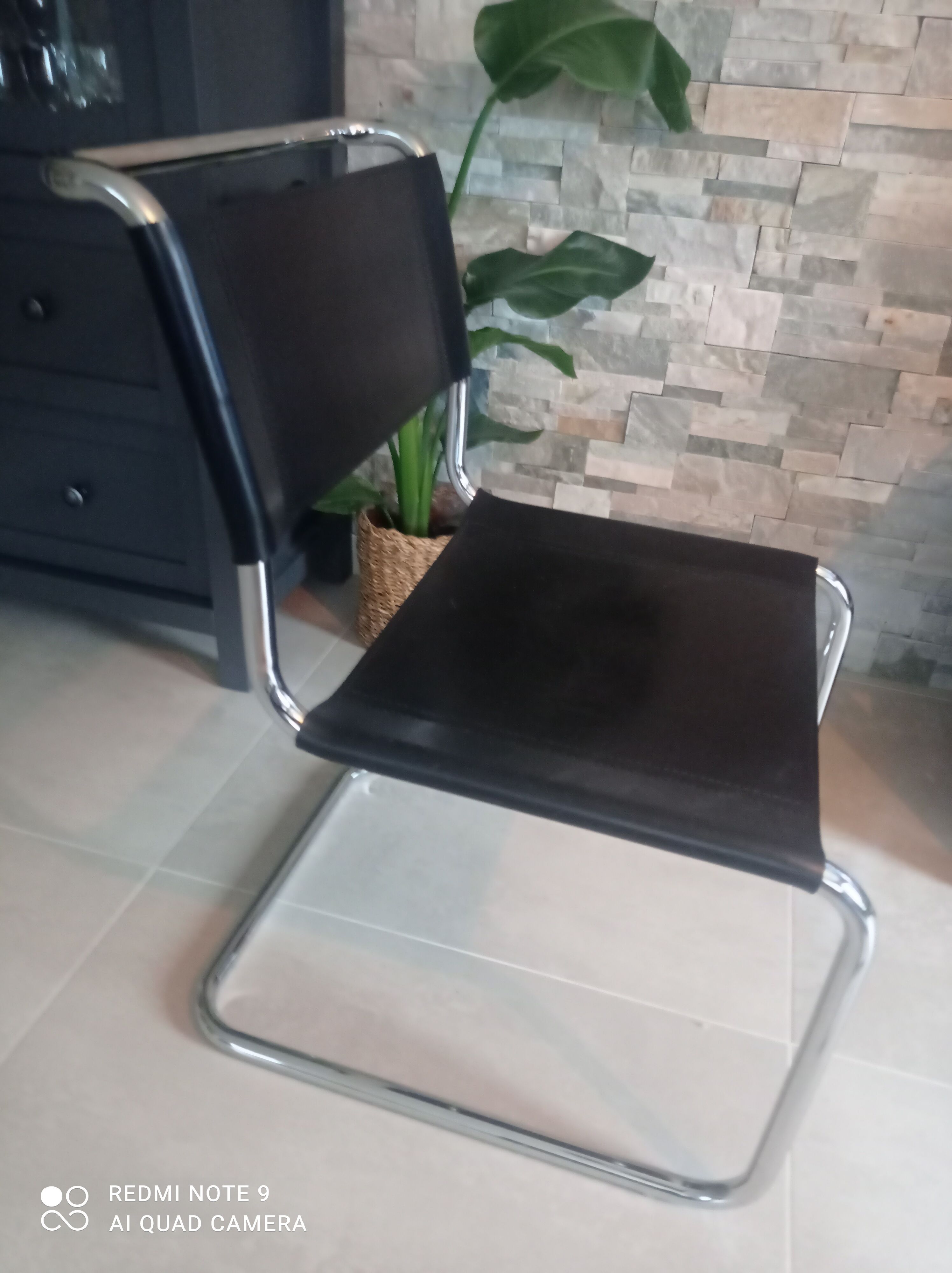 Pair of chairs model spoletto by designer bersanelli