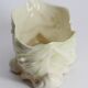 Ceramic thrush pot cover
