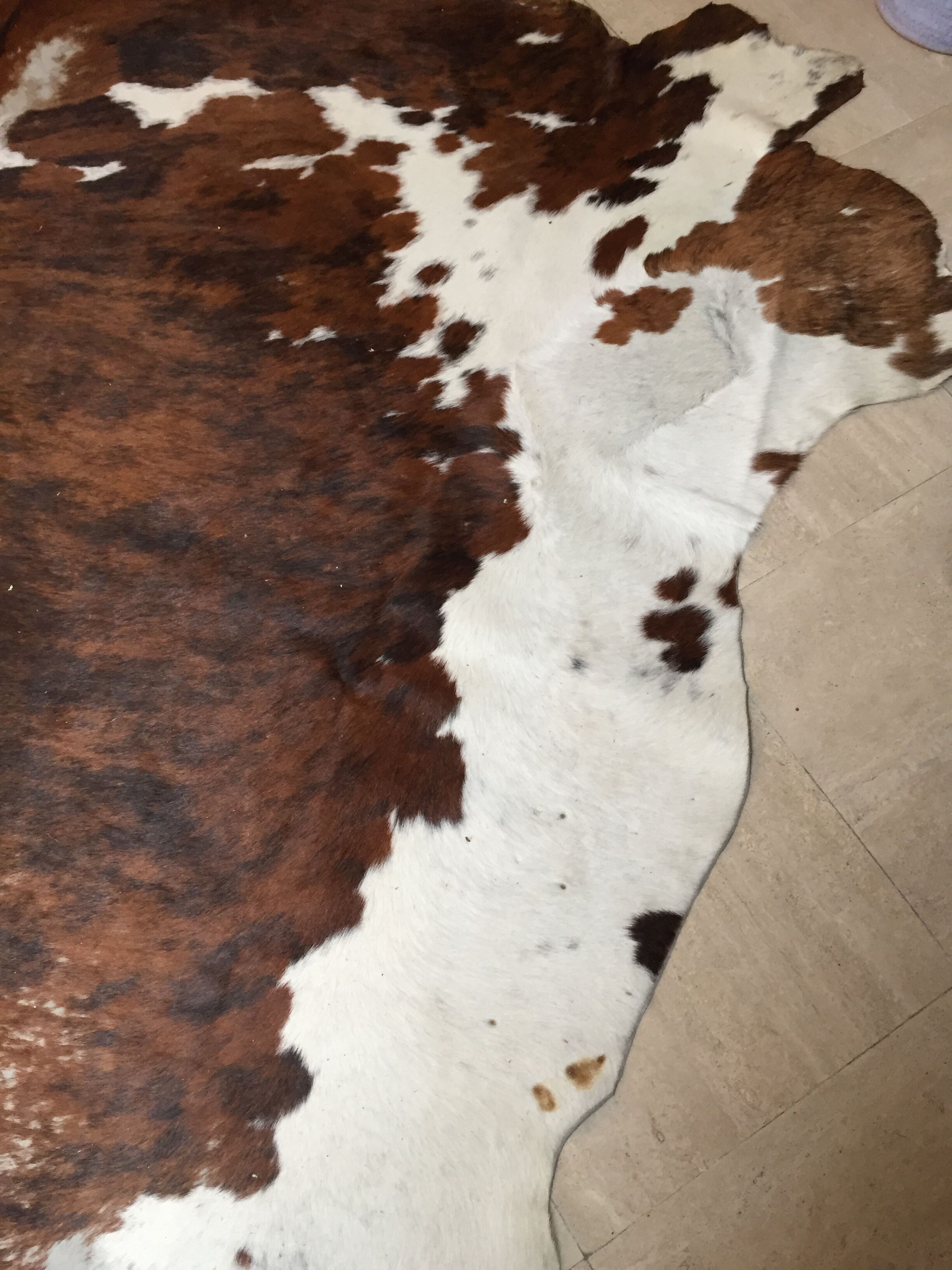 XxL vintage cow skin rug 1970
