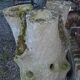 Concrete tree trunk planter