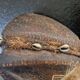 Old dance mask - Lwalwa tribe, Democratic Republic of Congo - Hardwood