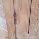 Raw wood jam maker