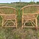 Pair of rattan armchairs