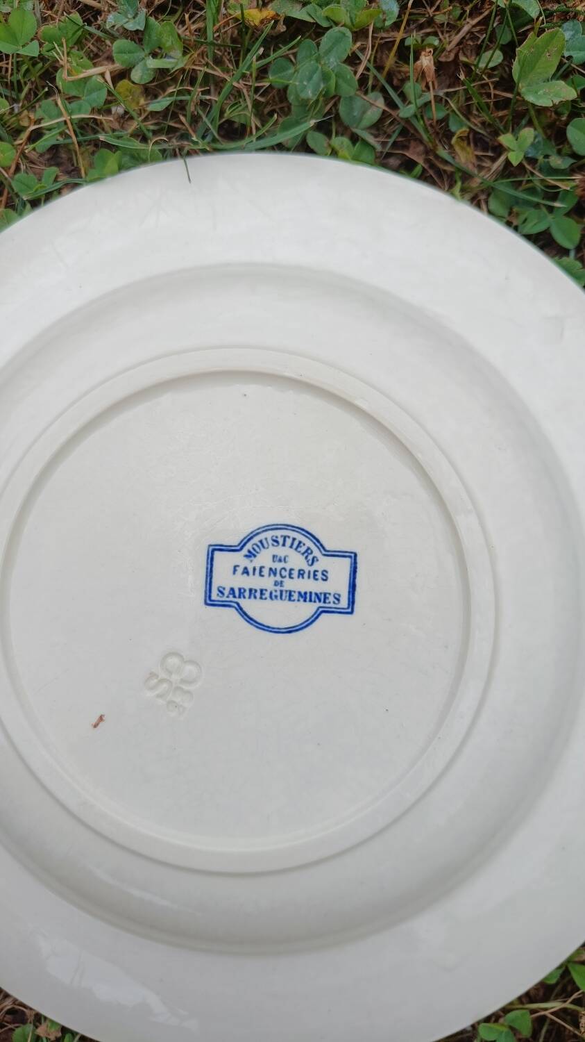 Iron earth plates Moustiers Sarreguemines model
