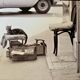 Photo of New York, Cat with rolling eyes in front of a shoe shine, 1960