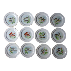 12 assiettes à poisson, porcelaine