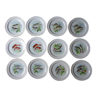 12 assiettes à poisson, porcelaine de Limoges