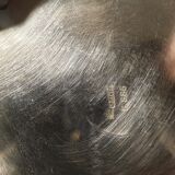 Pitcher Melone Gallia collection by Christofle