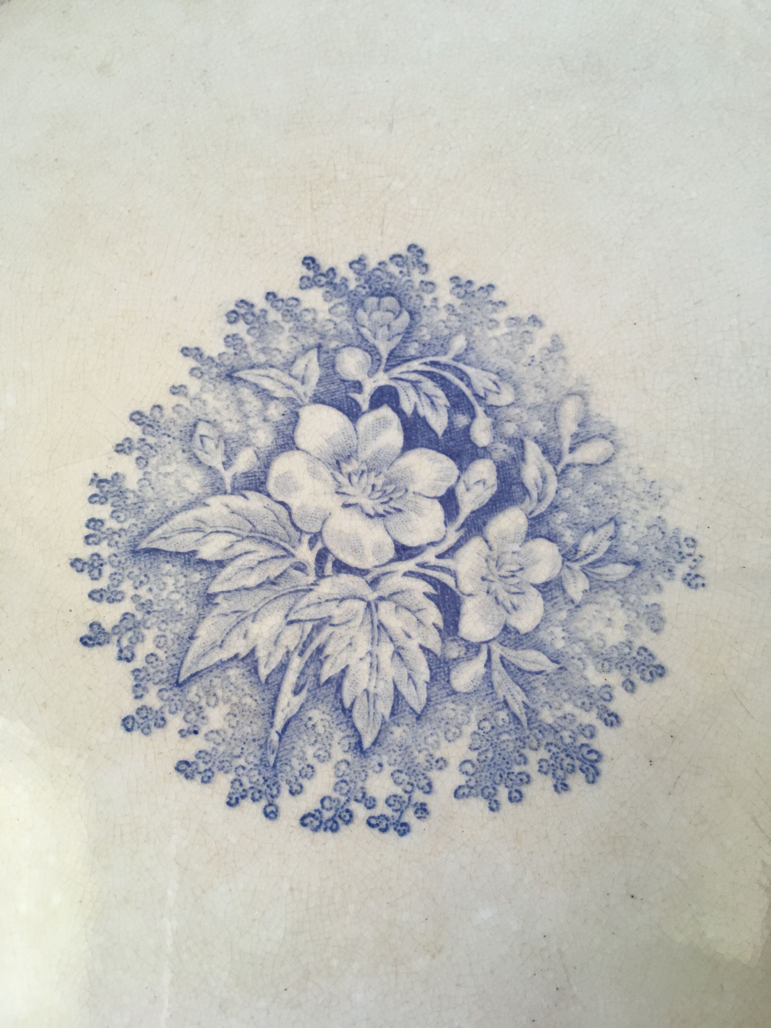 Very old serving dish in iron earth