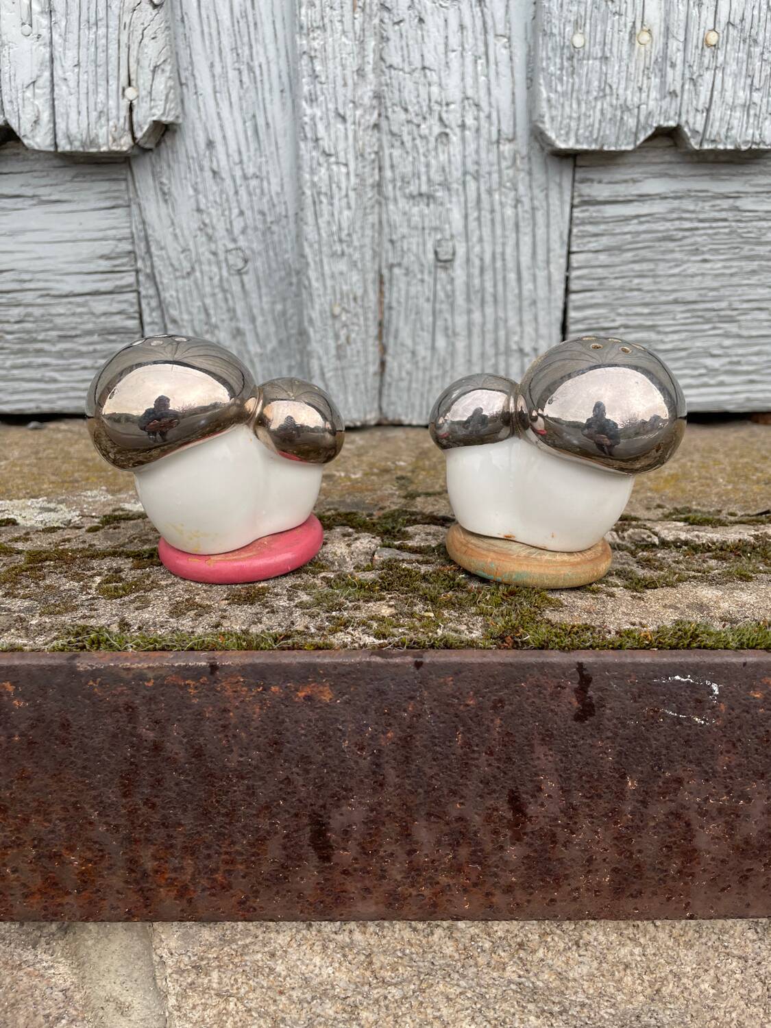 Antique porcelain salt and pepper shaker with mushrooms