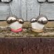 Antique porcelain salt and pepper shaker with mushrooms