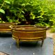 2 Art Nouveau brass planters