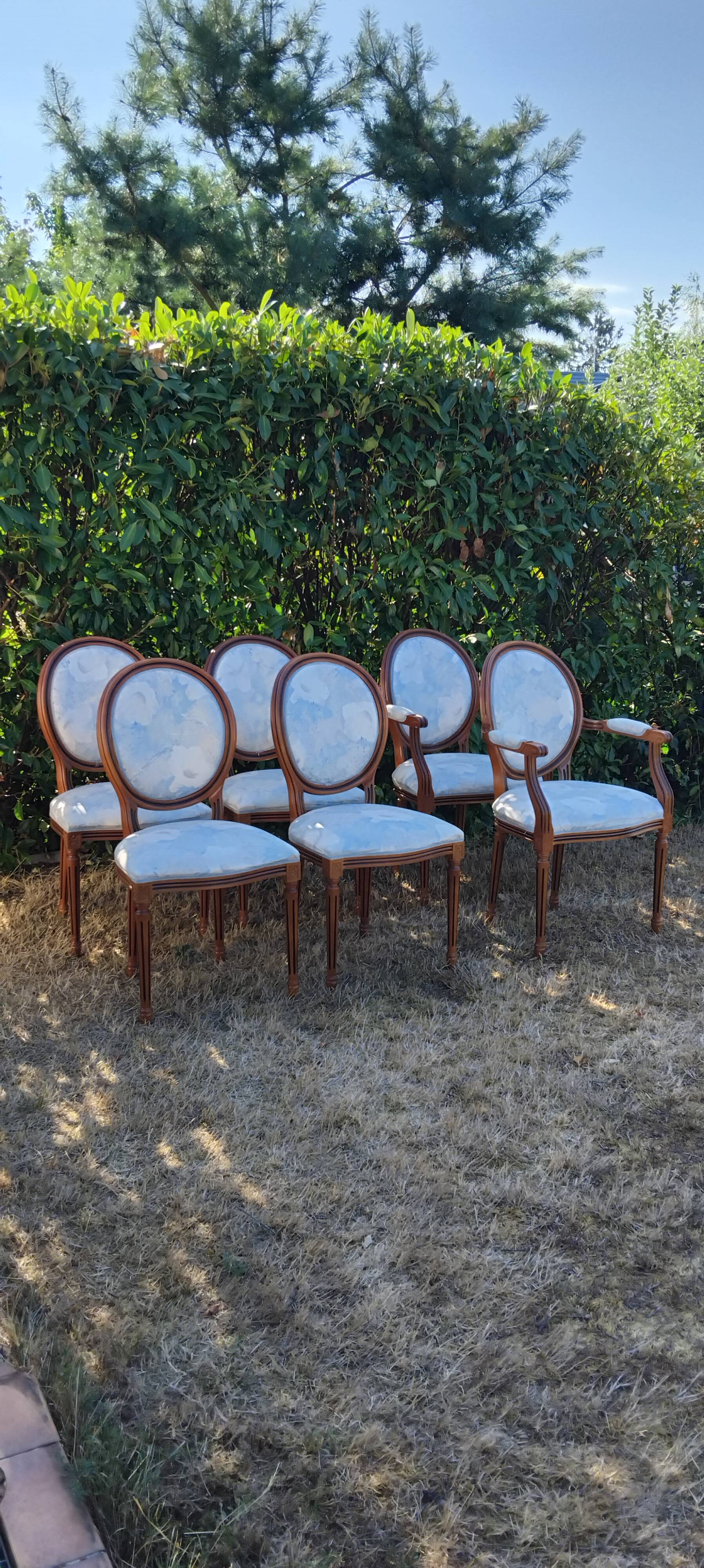 4 chairs and 2 armchairs