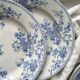 8 flat ironstone plates “Fleurette” Gien
