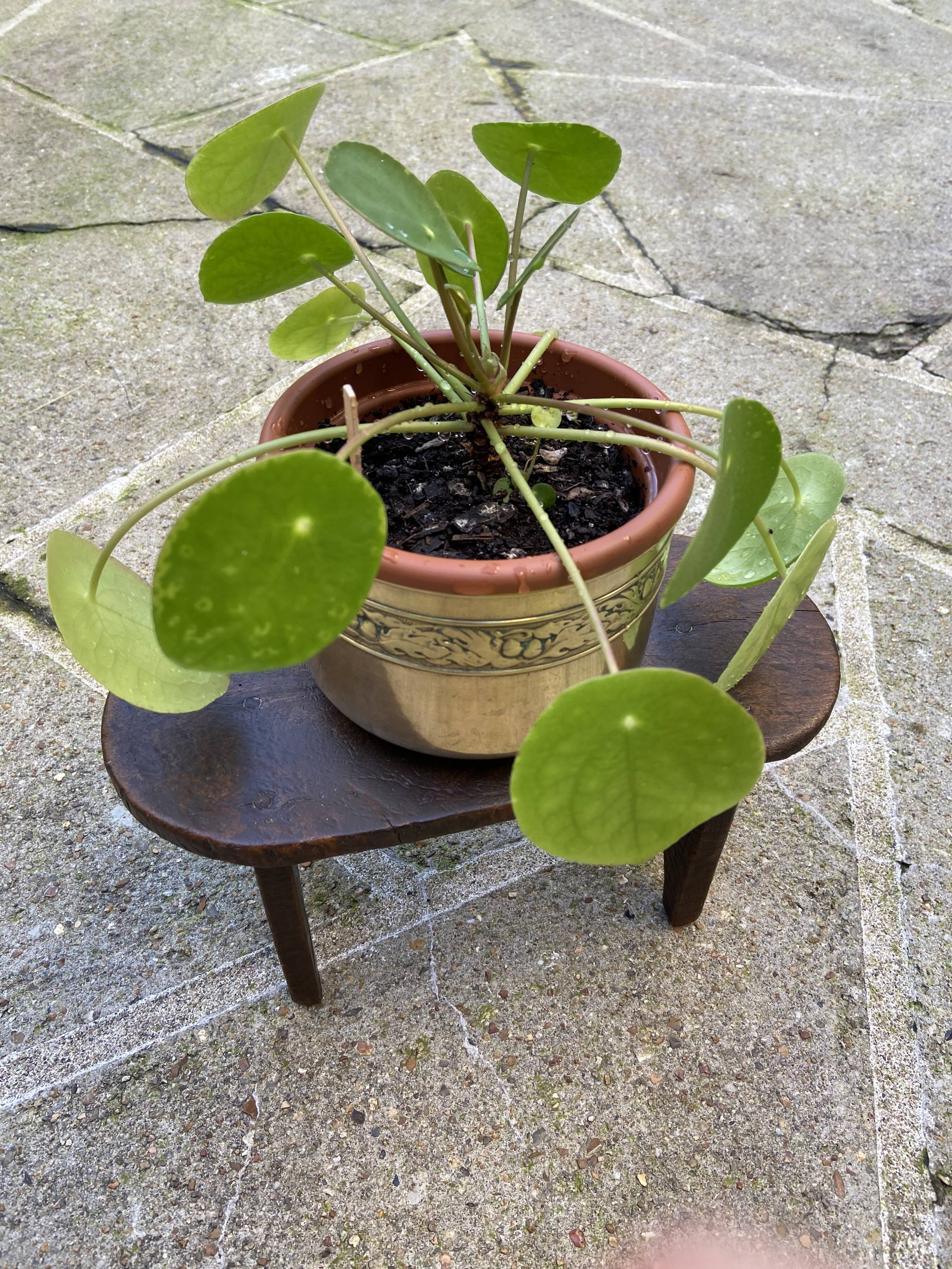 Vintage foot stool - 1950s