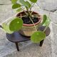 Vintage foot stool - 1950s