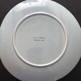 Triangular plate (crab) mbfa pornic