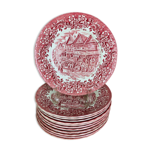 12 assiettes terre de