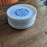 Service of 10 vintage dessert plates by Sovirel
