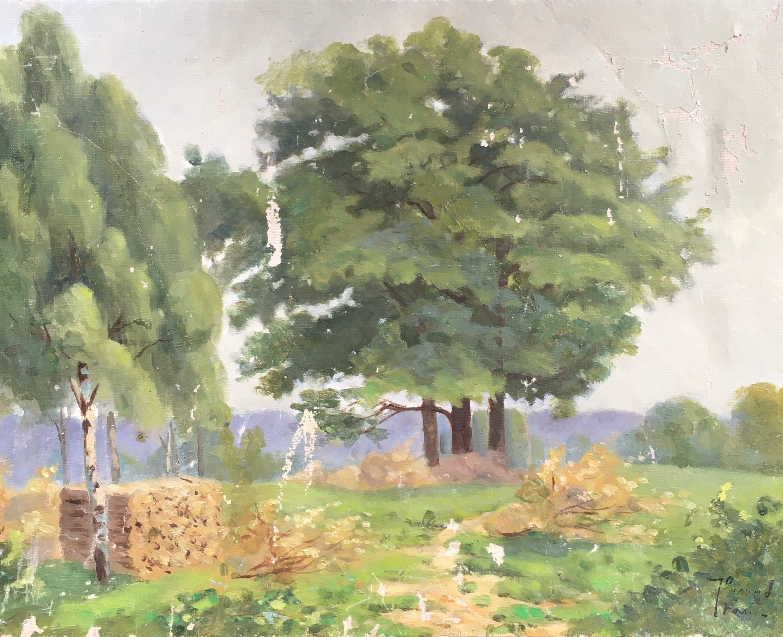 Old green trees table