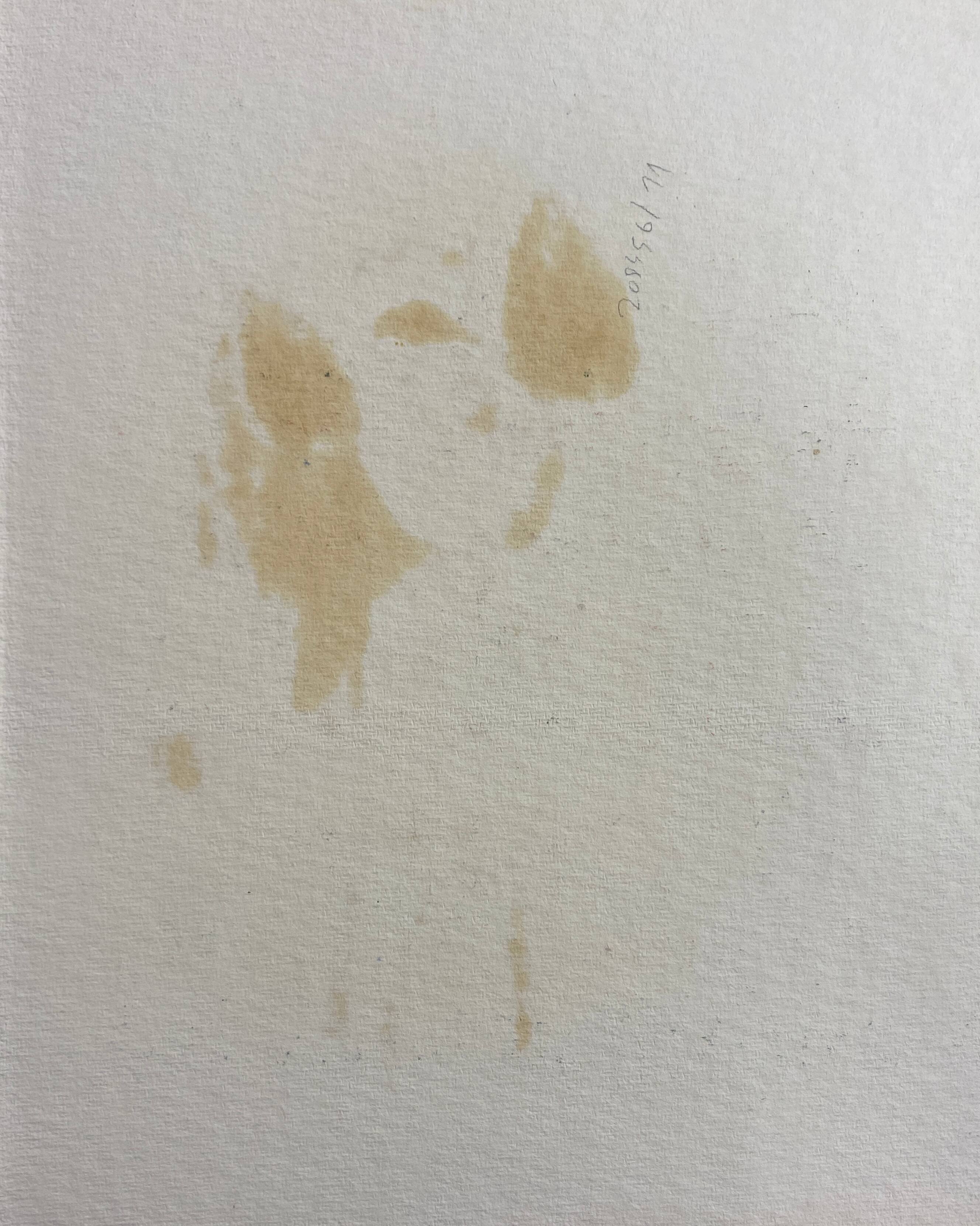 Painting "The Fauna" HSP by J.M. Brossat (born in 1946)