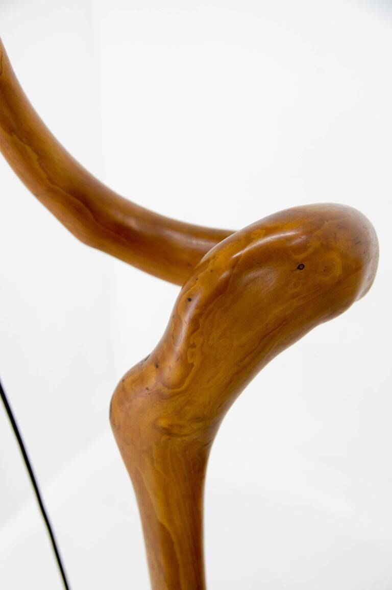 1960s Mid-Century Modern Sculptural Wooden and Veneer Floor Lamp