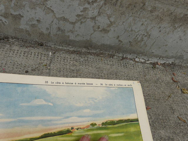 Affiche scolaire Rossignol La côte à rochers et récifs d' un côté / la côte à falaise à marée basse