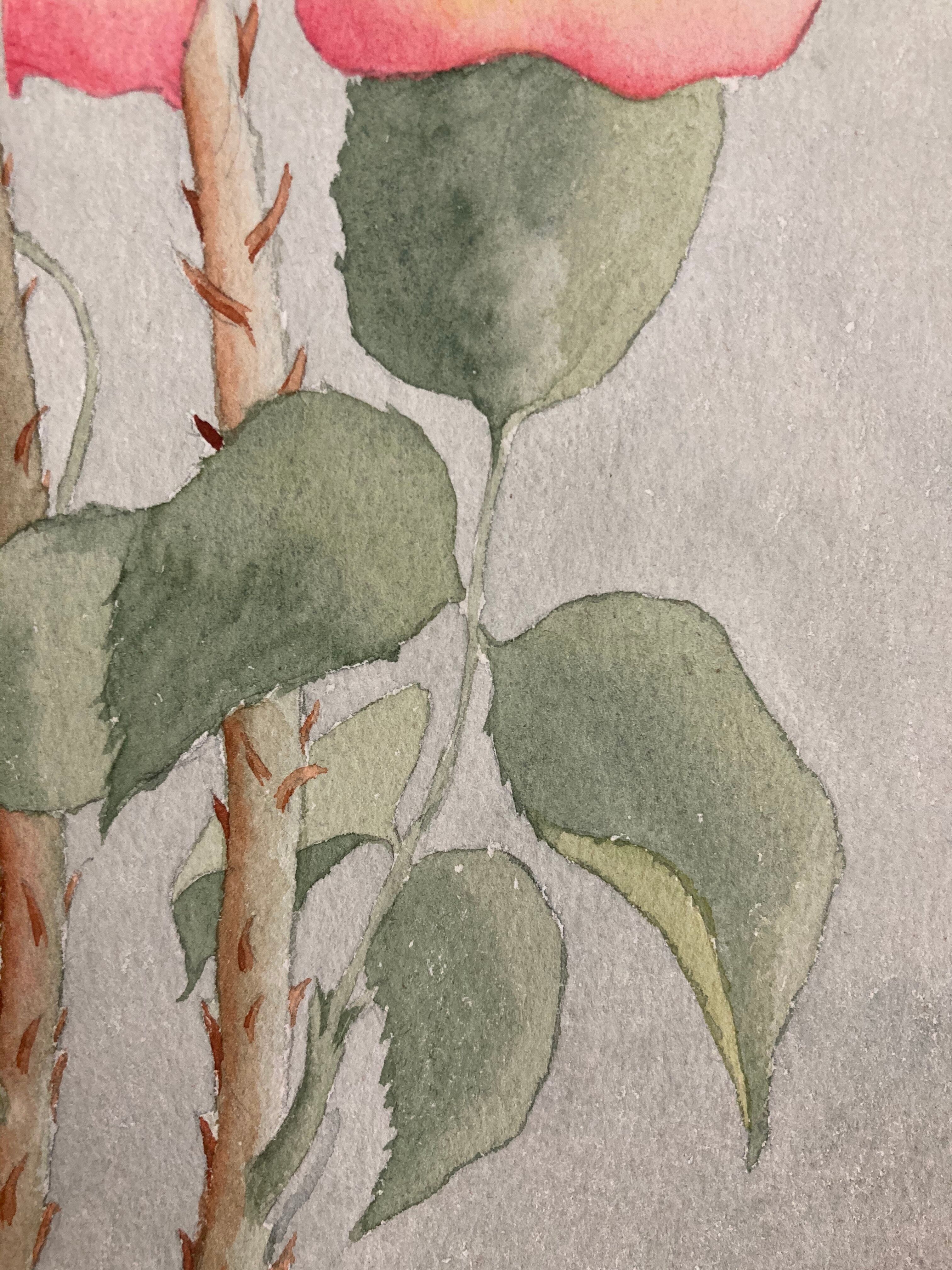 Watercolor with vintage roses