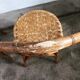 Pair of rattan chairs