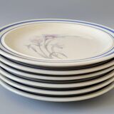 Set of 6 dessert plates