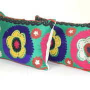 Lot de 2 housses de coussin brodées vintage 41x61 cm