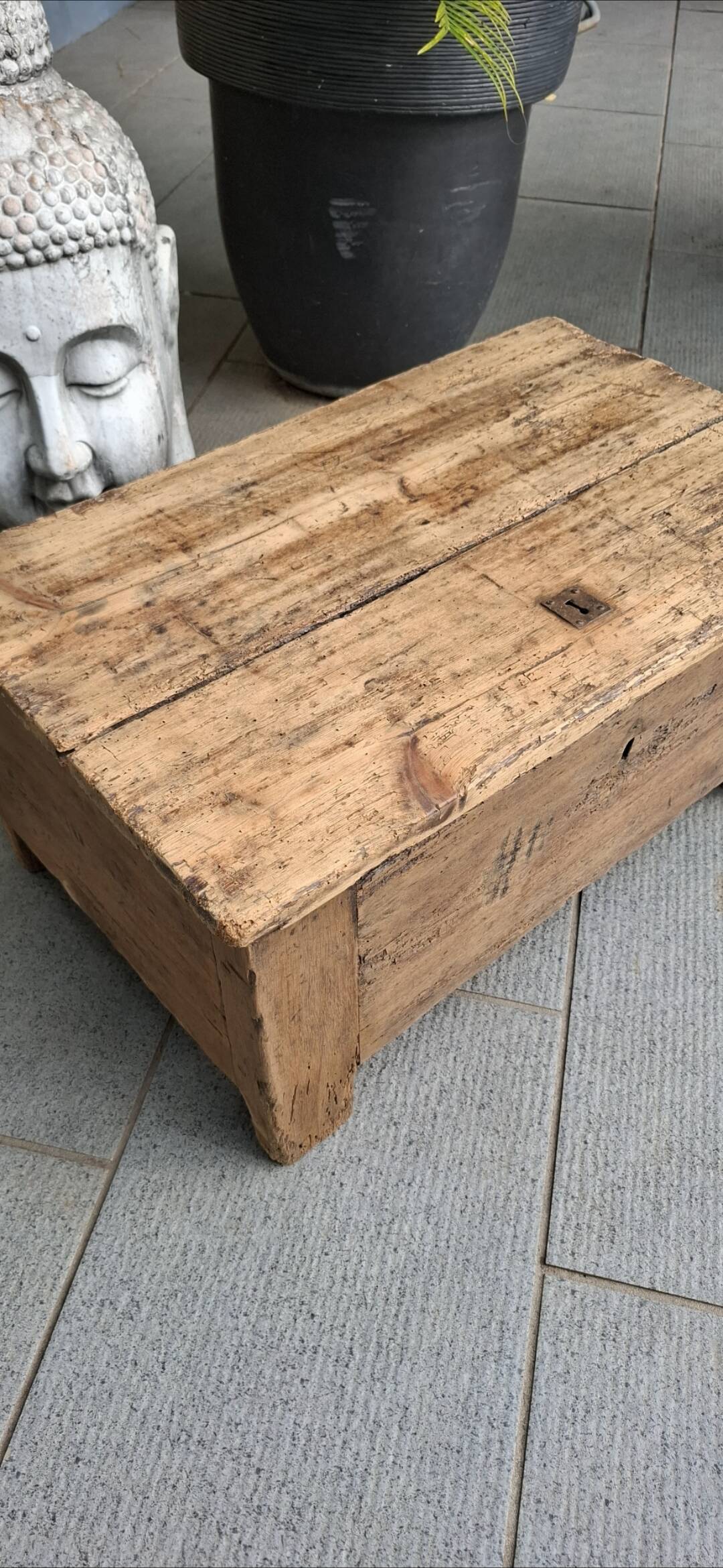 Renovated 1850 trunk