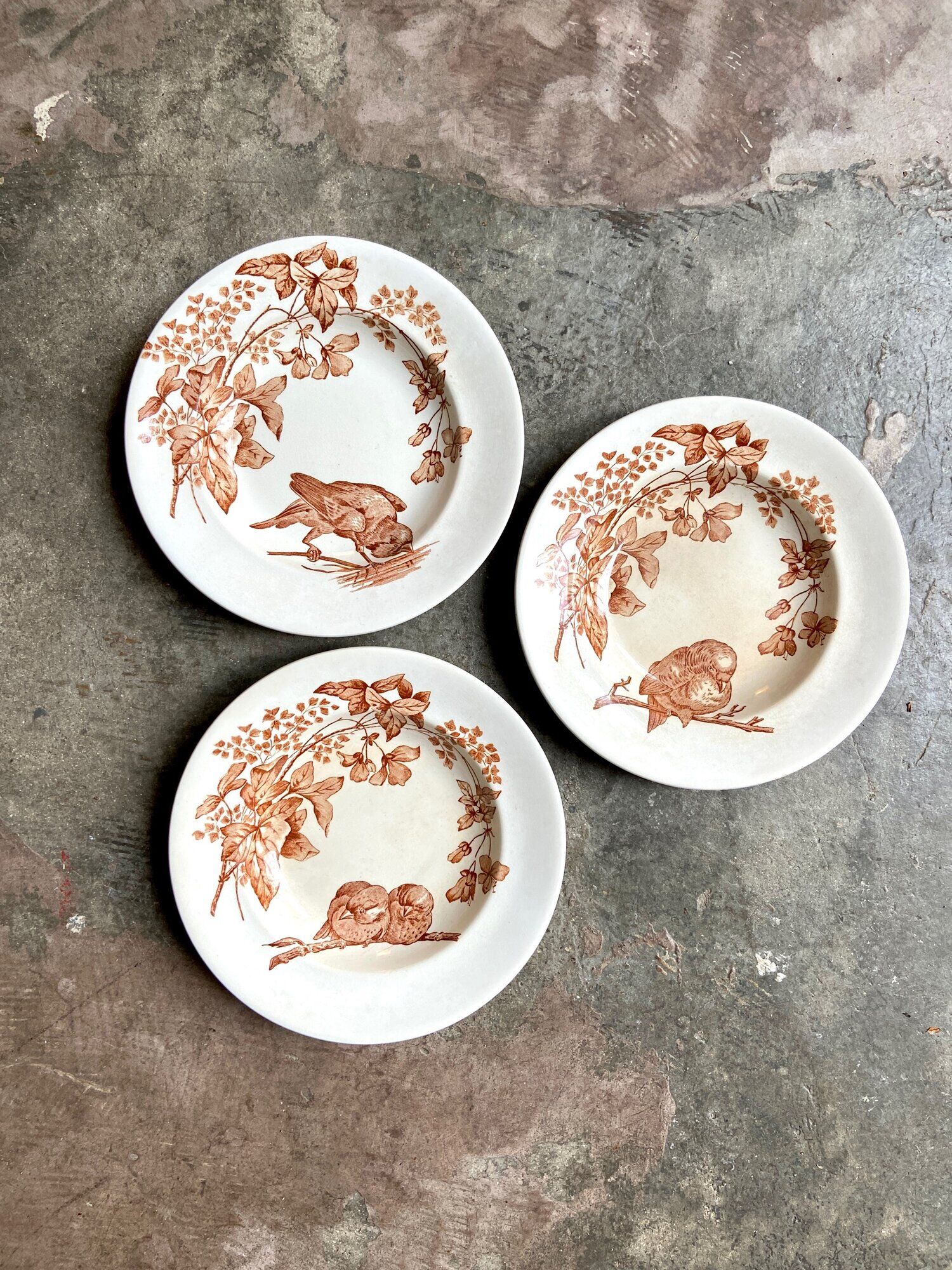 3 Longwy hollow plates in white and brown iron earth