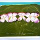 Original lithograph signed by Jean Messagier, May sewn by apple blossoms