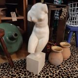 Patinated plaster aphrodite bust