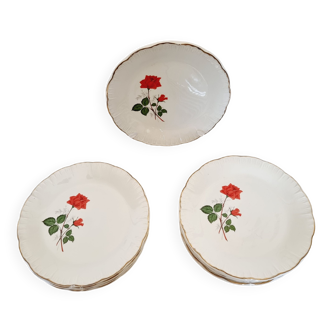 12 assiettes plates à soupe porcelaine française Digoin&Sarreguemines modèle "Sévigné" de 24cm