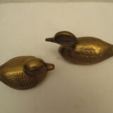 Brass ducks duo