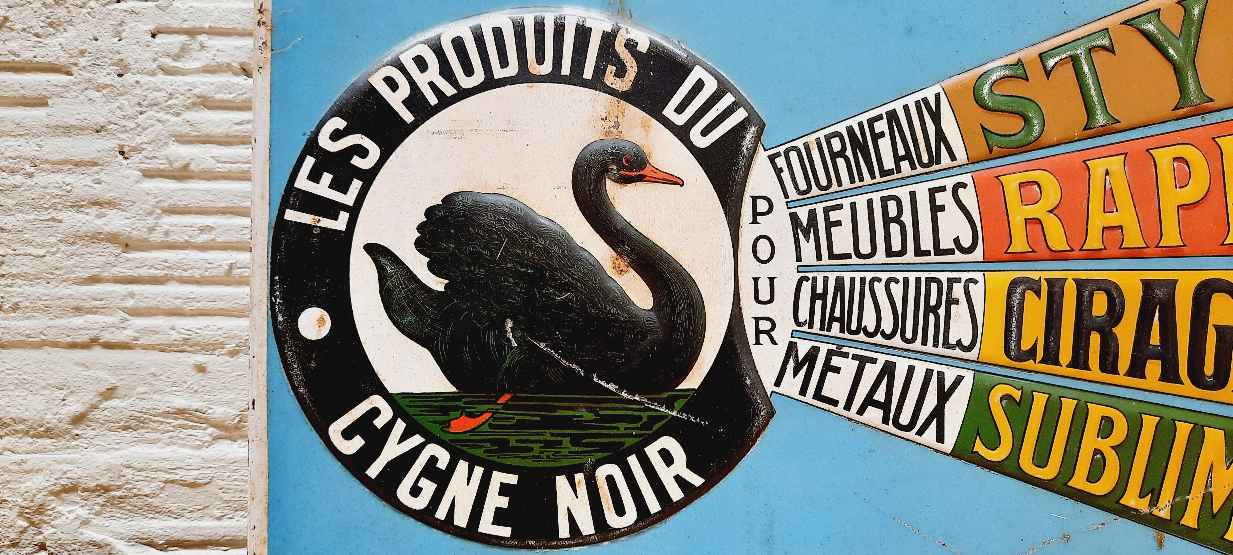 Painted sheet metal the black swan