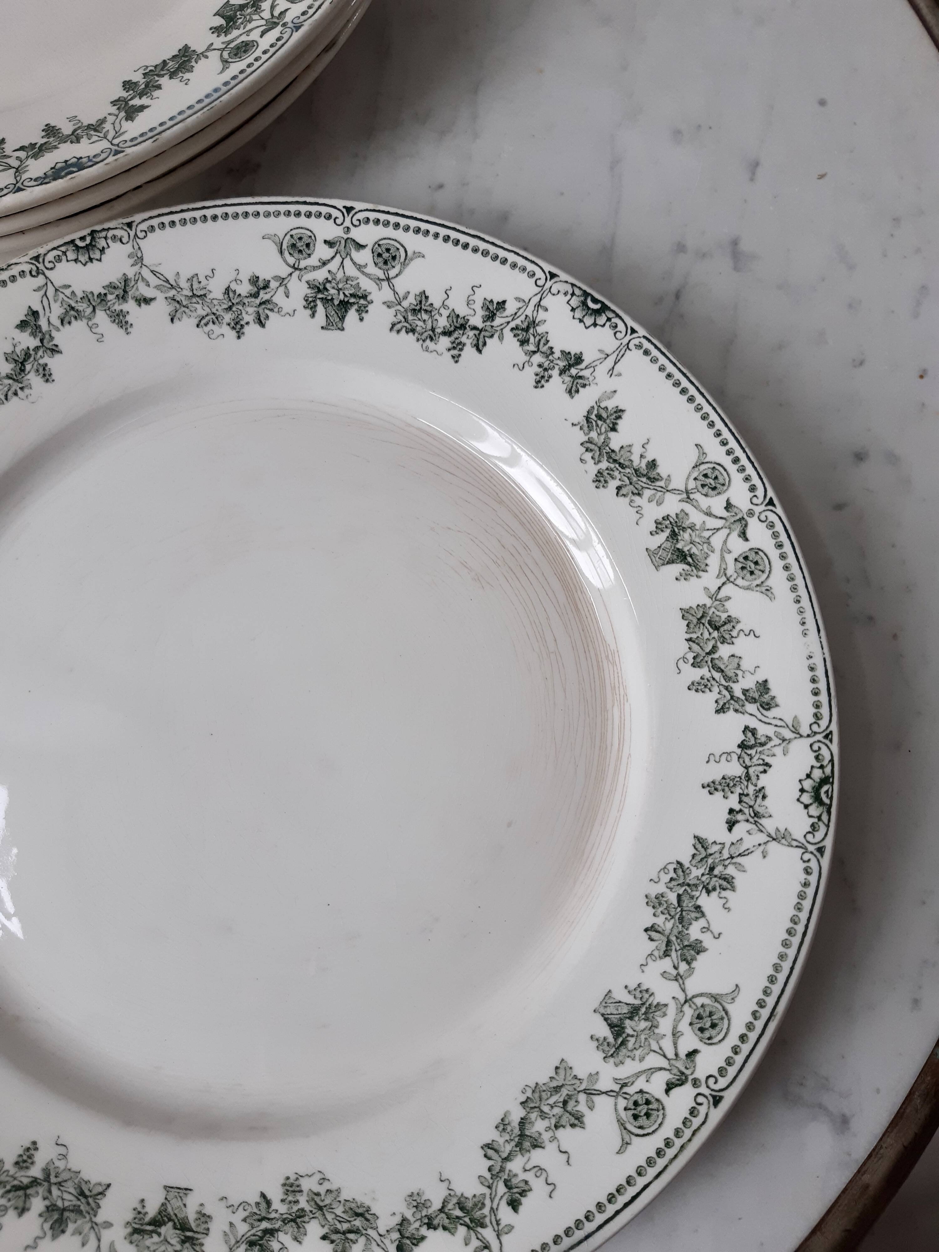 Lot of 6 flat plates Bandonvillier champagne model