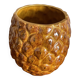 Vallauris pineapple plant pot