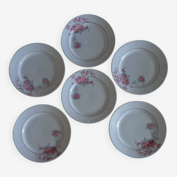 Old plates x6 in iron earthenware SAINT-AMAND & Hamage Nord “Thalia”
