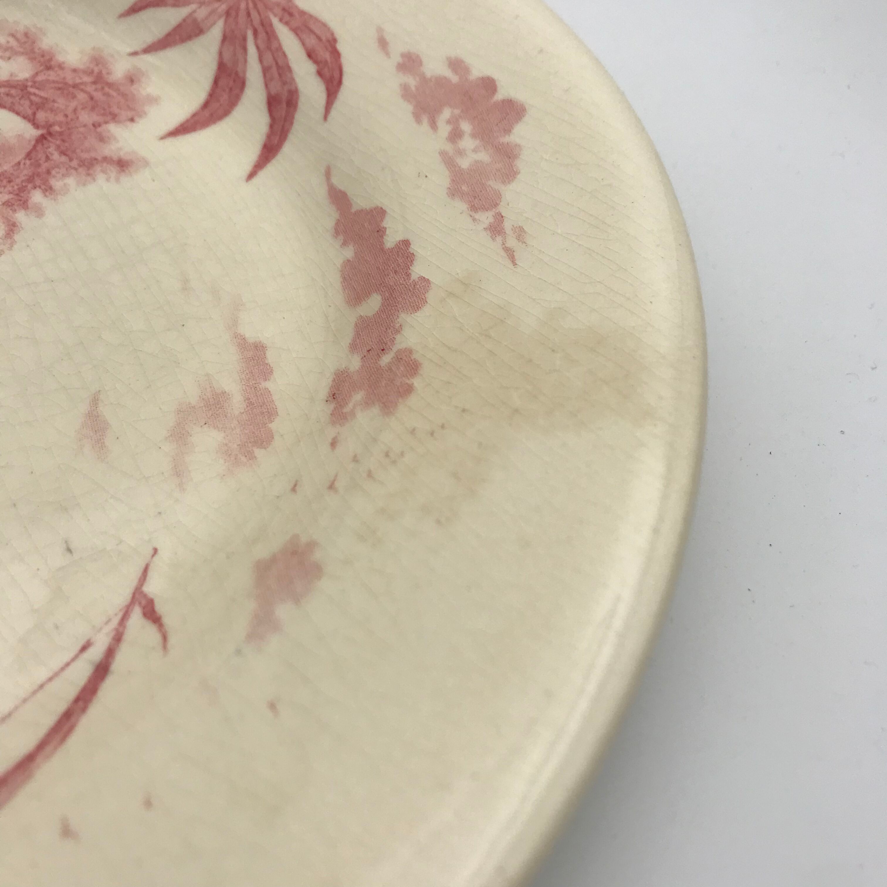 6 flat plates views of shabby pink orient