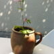 Sandstone pot with handle