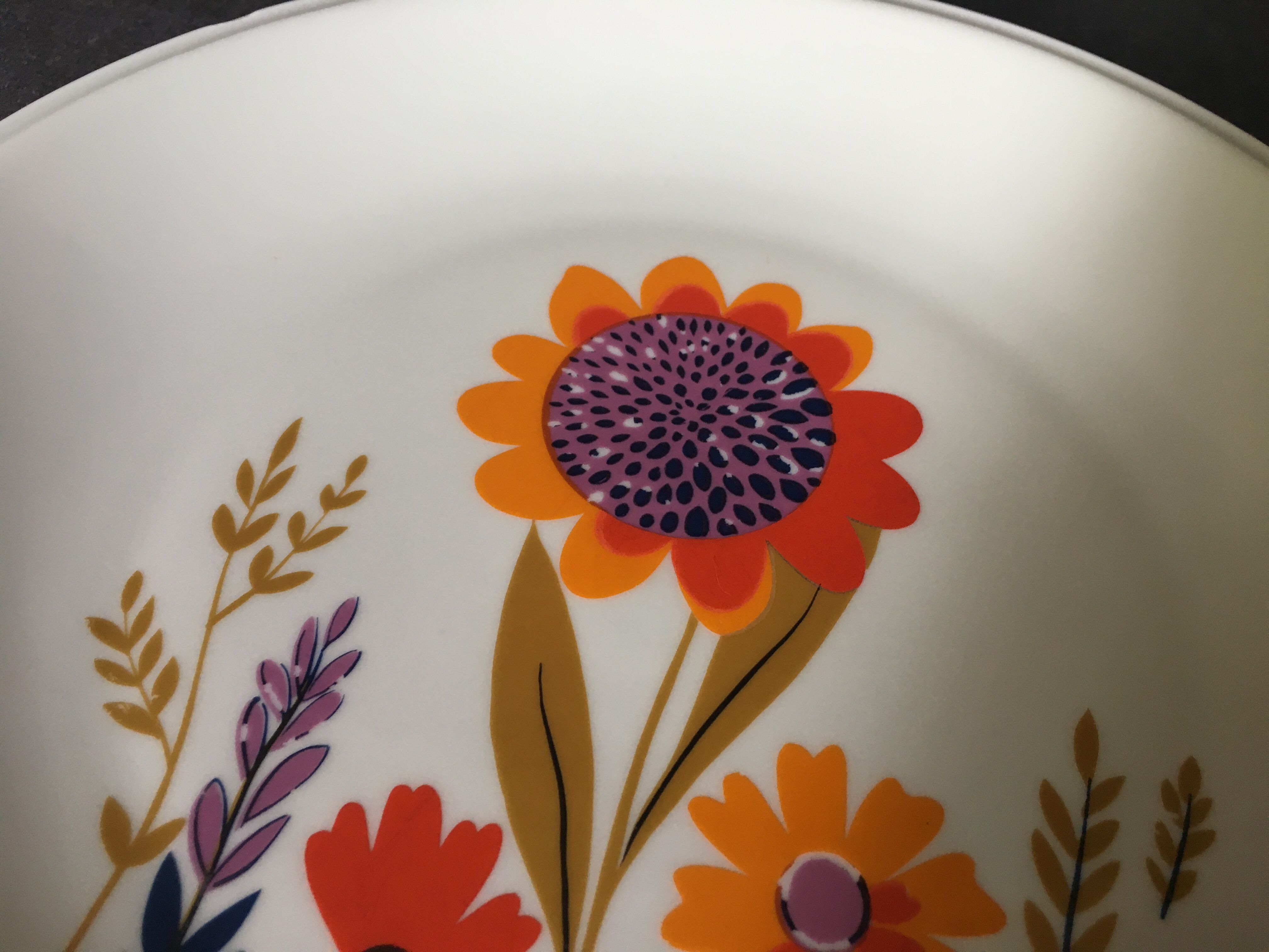 Sologne Porcelain Pop Flat Plates