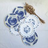 Vintage blue dinner plates