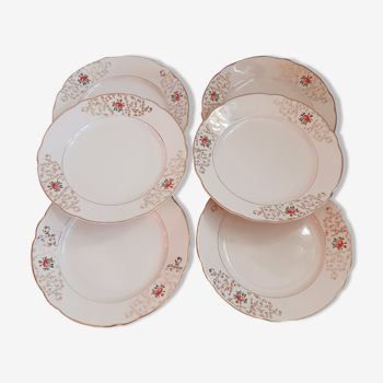 6 Villeroy and Boch hollow plates