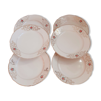 6 Villeroy and Boch hollow plates