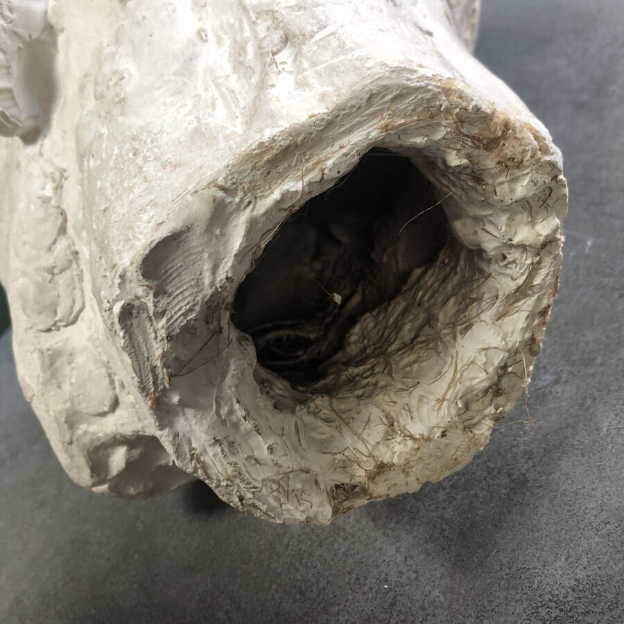 Head of a man with a plaster mustache