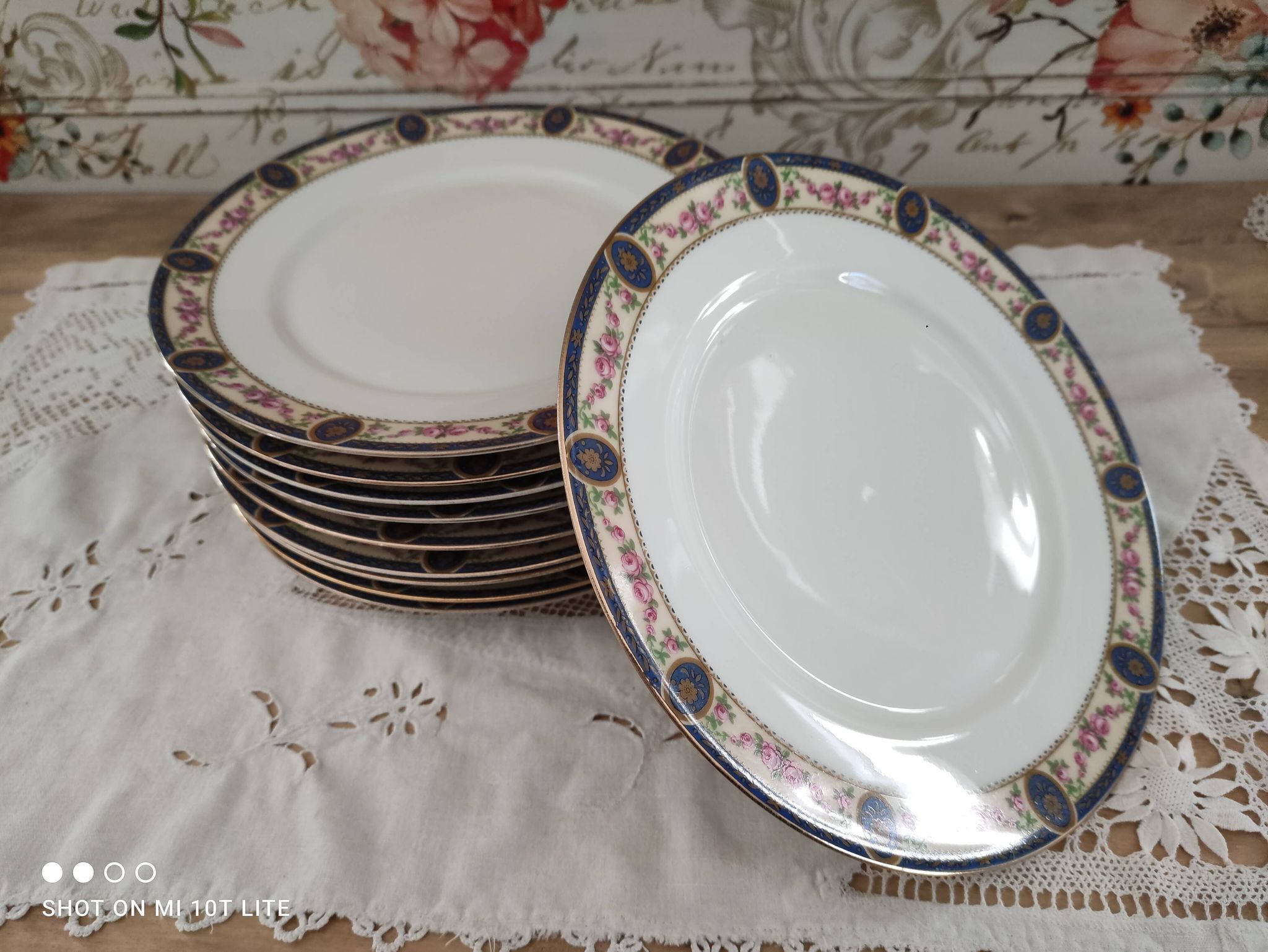 Set of 10 flat plates in Limoges porcelain stamp RN frieze blue old pinks
