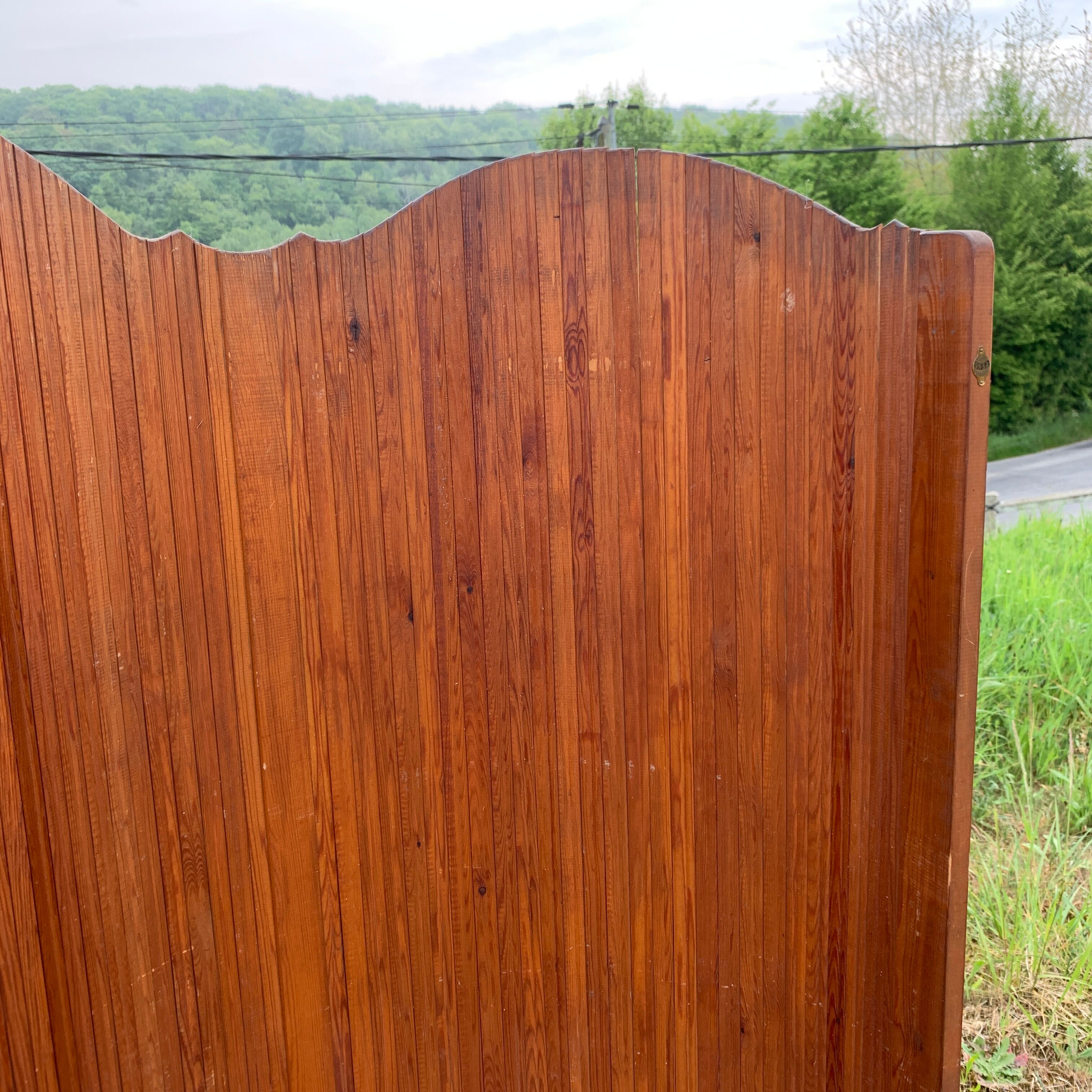 SNSA screen in pitchpin slats genus Baumann